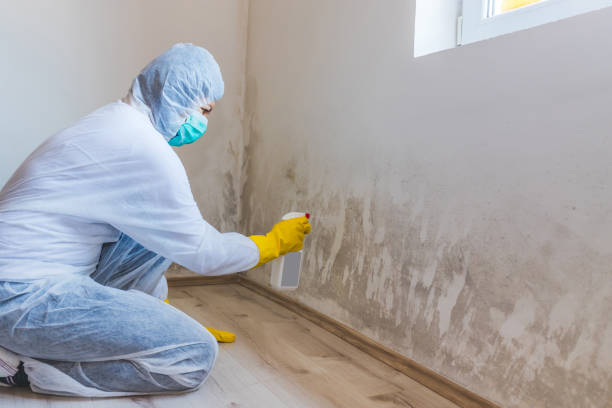 Mold inspector in Clear Spring performing thermal imaging